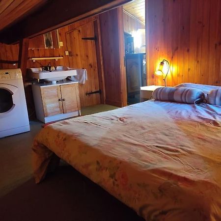 Chalet Accueillant Et Familial Saint-Martin-Vésubie Εξωτερικό φωτογραφία